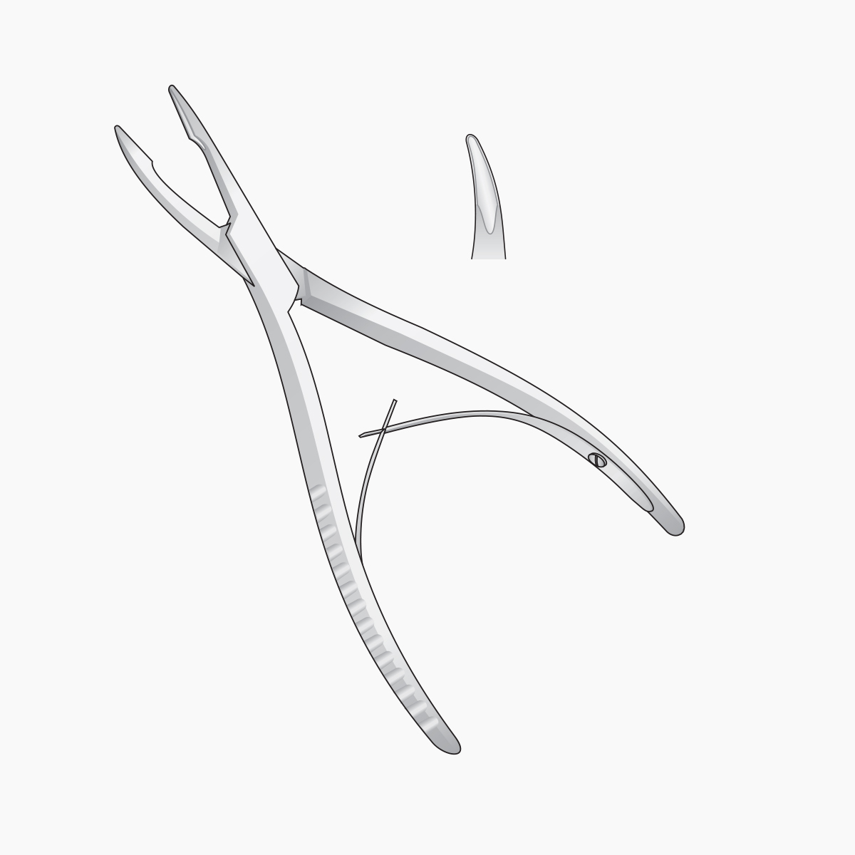 friedmann-bone-rongeurs1