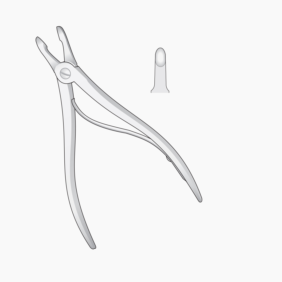 hartmann-bone-rongeurs