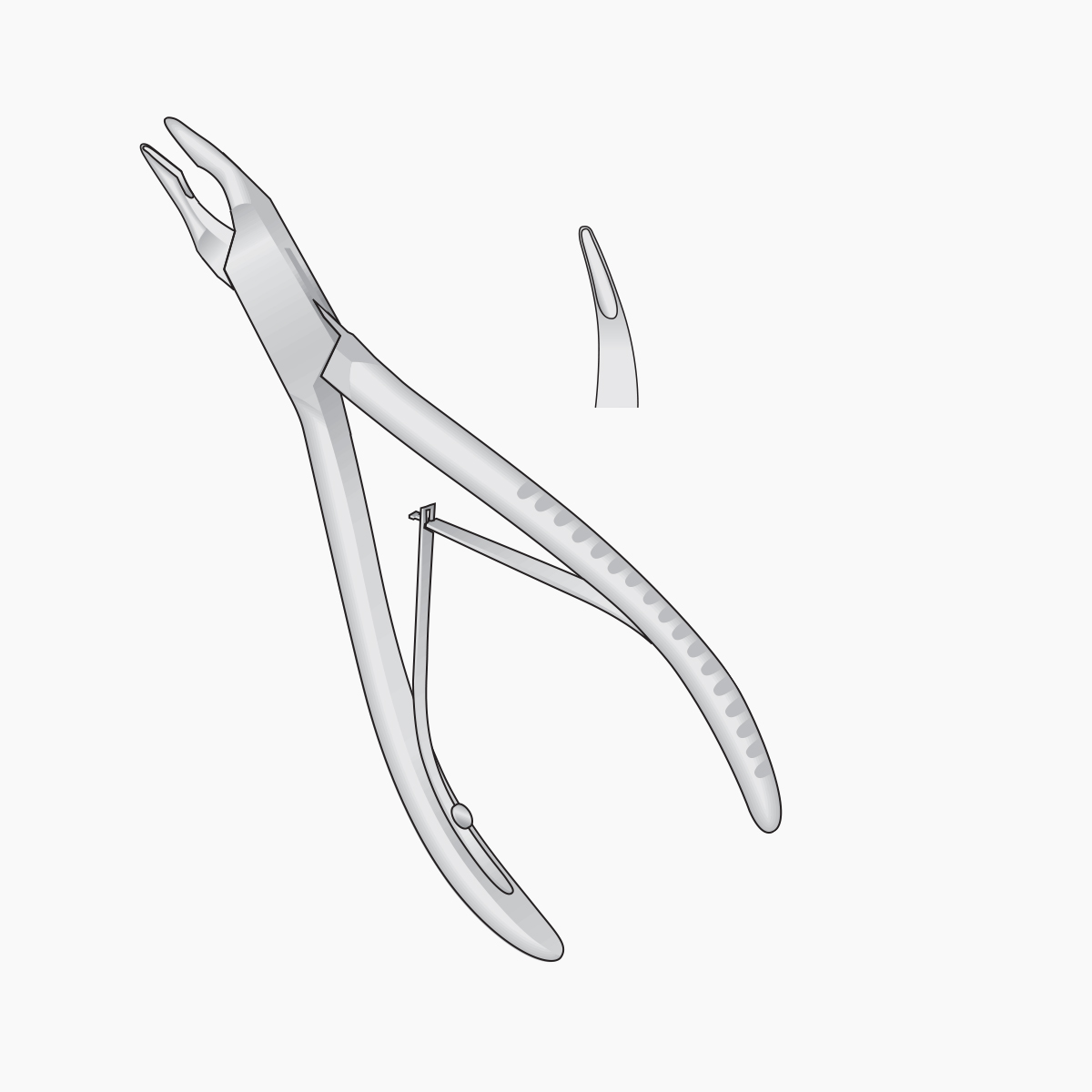 friedmann-bone-rongeurs