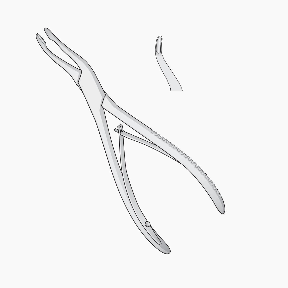 alexander-bone-rongeurs