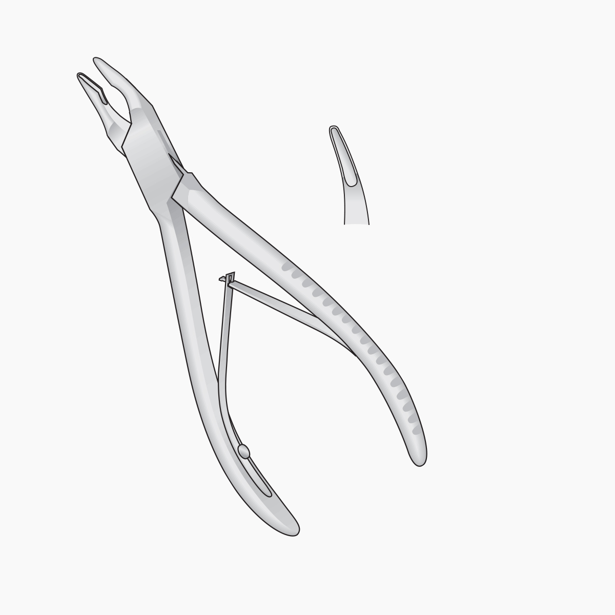 mini-friedmann-bone-rongeurs1