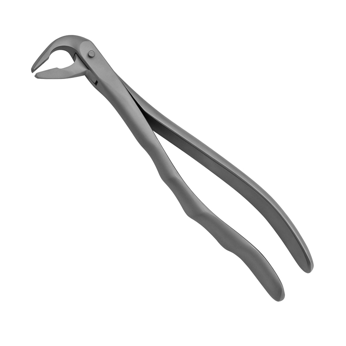 extraction-forceps-lower-anterior-tapered