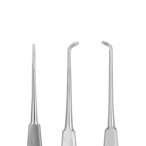 Warwick James Style Dental Root Elevators Set