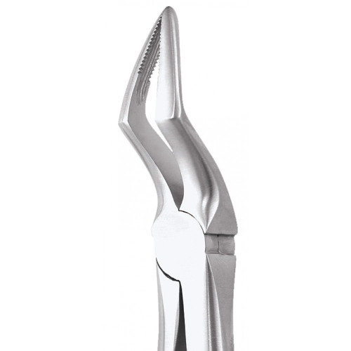 Extraction Forceps (Upper Roots – #51A)
