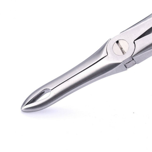 Extraction Forceps (Upper Roots)