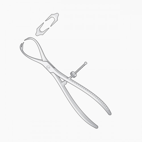 PATELLA BONE SURGERY